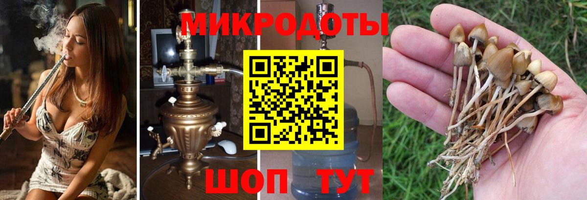 Галлюциногенные грибы Magic Shrooms Белая Калитва